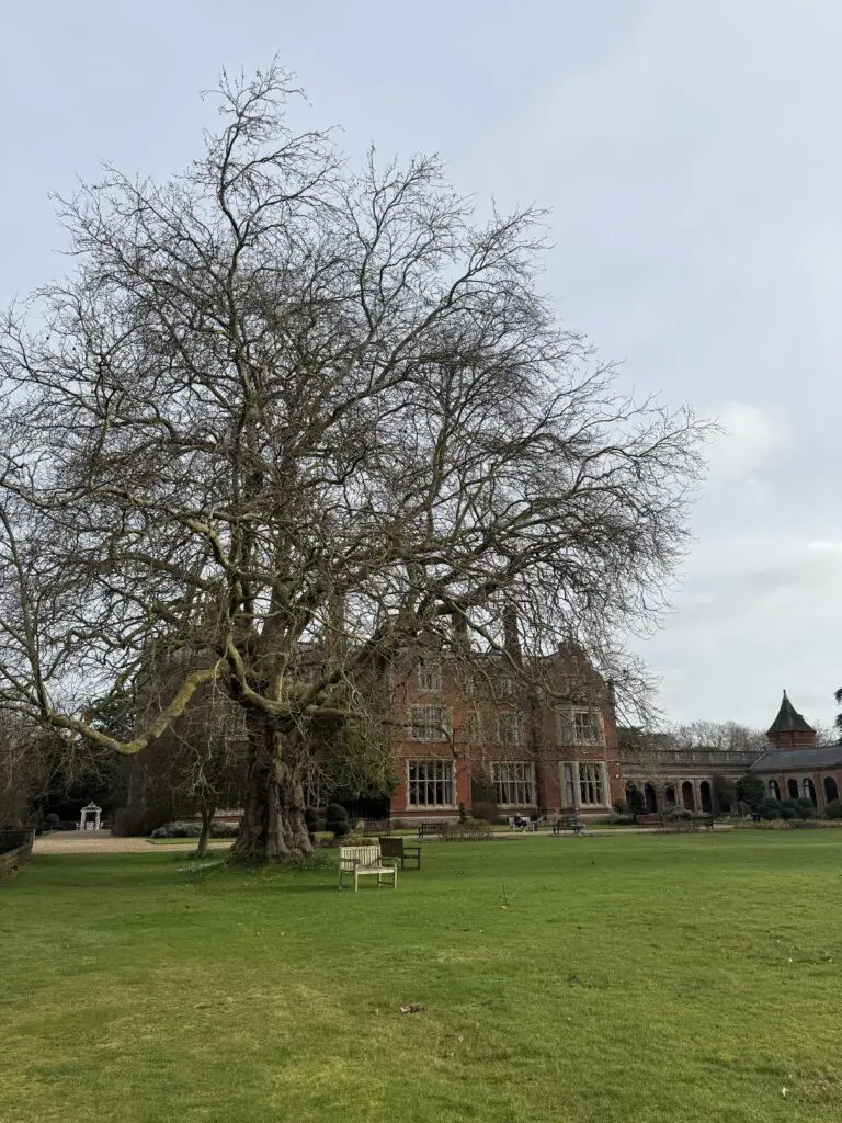 how to integrate a retreat experience into daily life