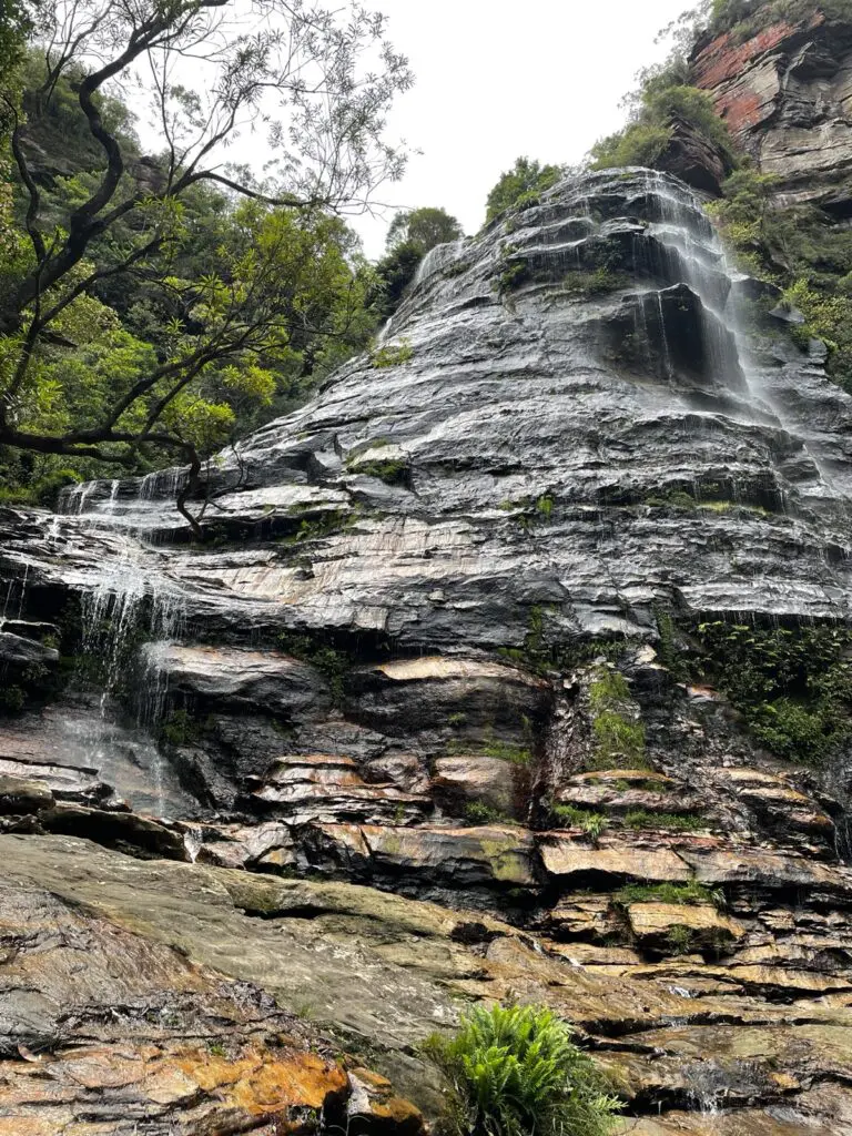 daily routine for mental and physical health