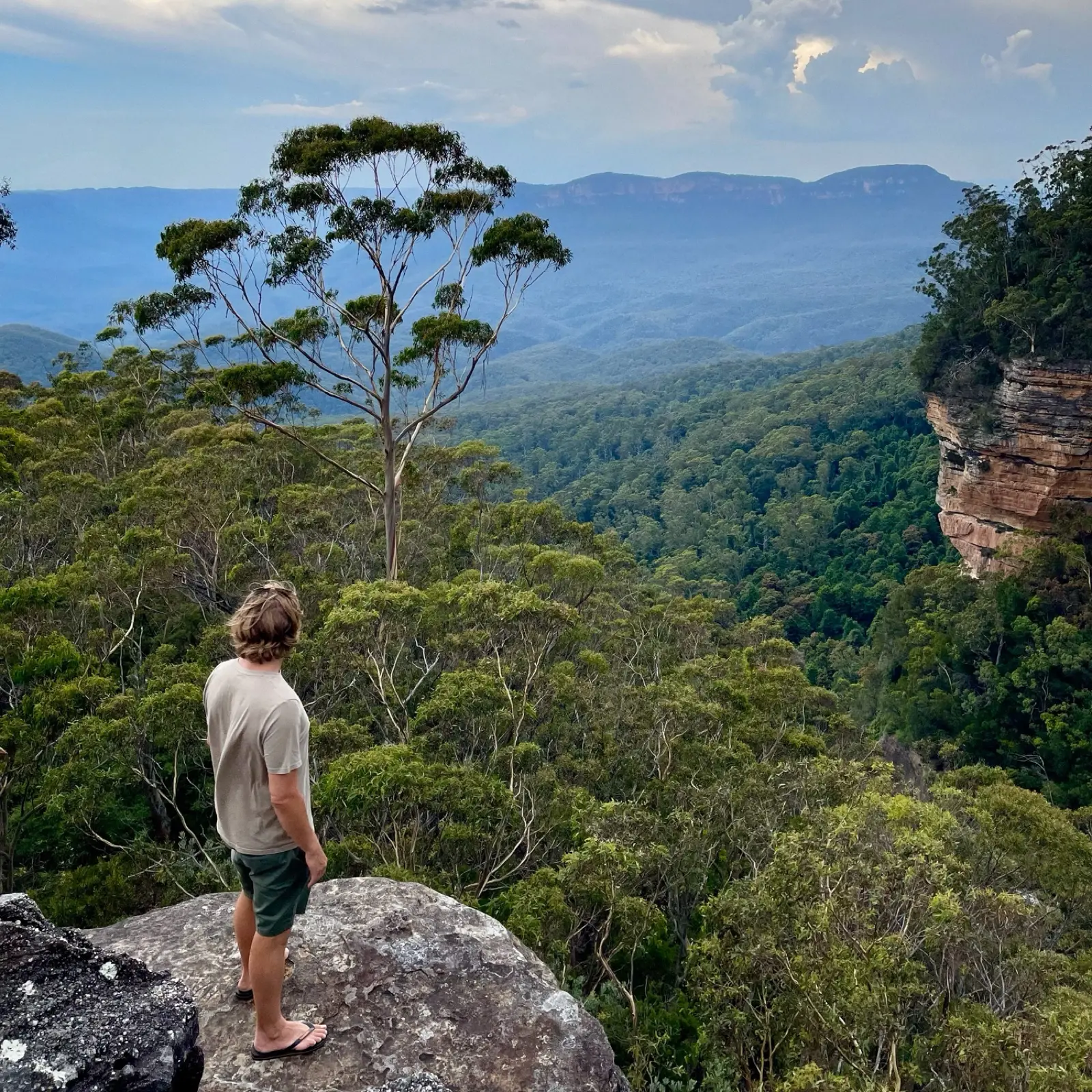 Do We Understand How to Heal?