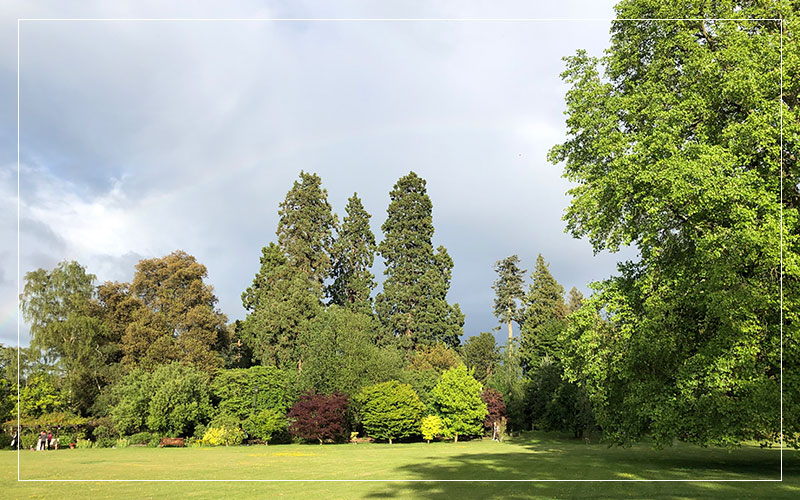 Gardens at the Arthur Findlay College